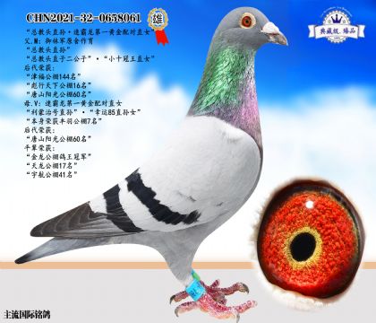 總教頭直孫·速霸龍黃金配對直女