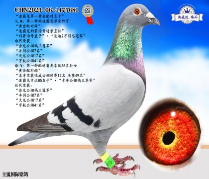 速霸龍黃金配對直子