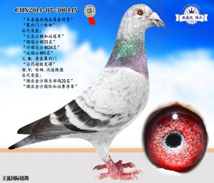 盛世花445