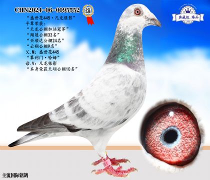 盛世花445·凡龍銀影