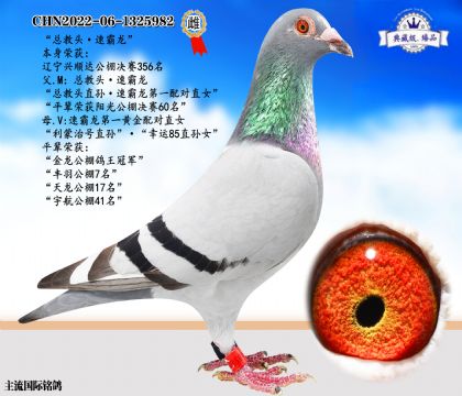速霸龍第一黃金配對近親