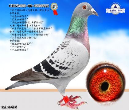 東方不敗神奇619·速霸龍黃金配對直女