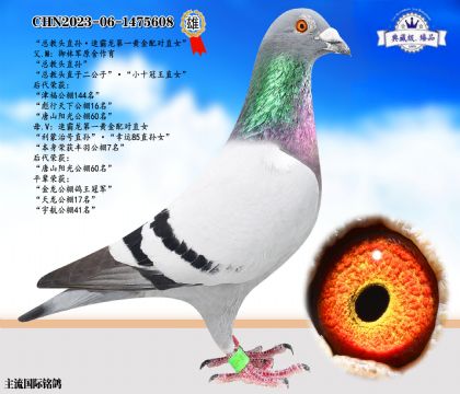 總教頭直孫·速霸龍黃金配對直女