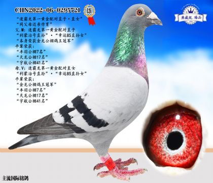 速霸龍黃金配對直子·直女
