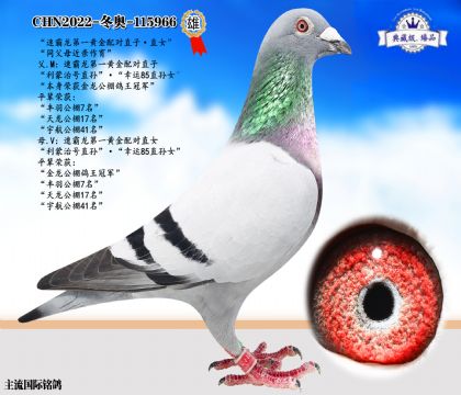 速霸龍黃金配對直子·直女