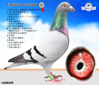 總教頭直孫·速霸龍黃金配對直女