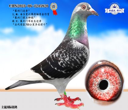 幕利門近親