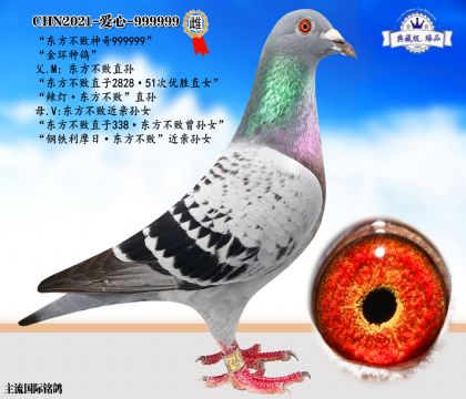 東方不敗神奇999999