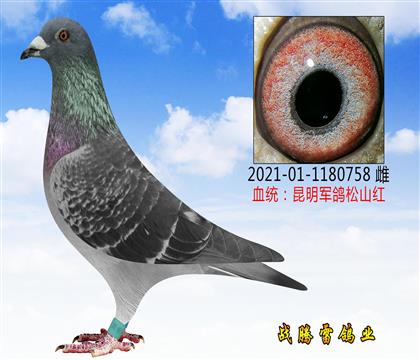 ĸH