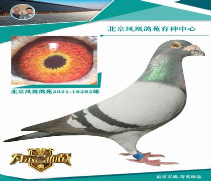؄e؄e߼(j)  (zhn)998ֱϵ
