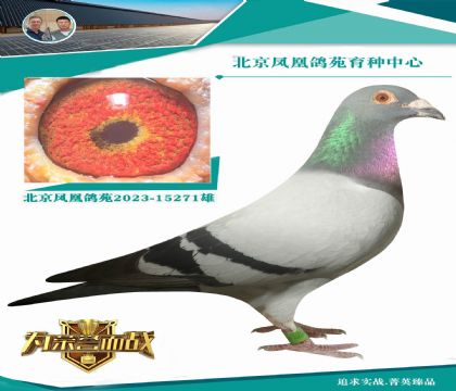 (gu)ٶȻʺ󳬼(j)Ѫ