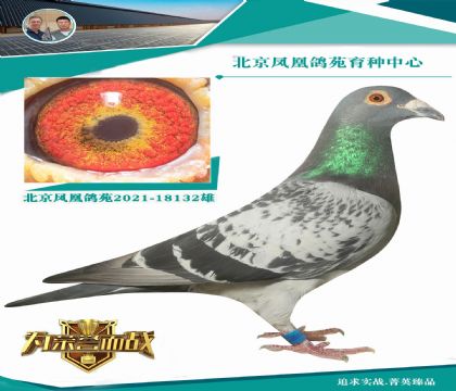 (gu)_ֱӴ ݅֘O
