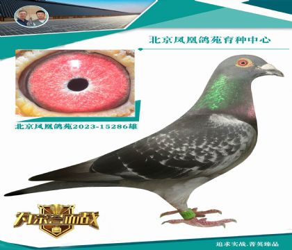 (zhun)ӚDyِµĳ(j)䌦(du) ڵϵϡXձ