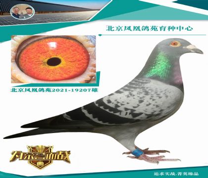 Ҡ577ֱX(ju)ղݿˡ ǳ(yu)