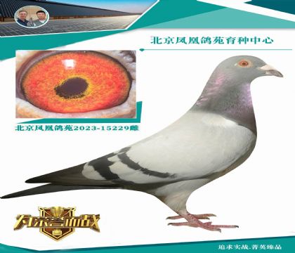 (gu)̡ٶȻʺ󡱳(j)Ѫ