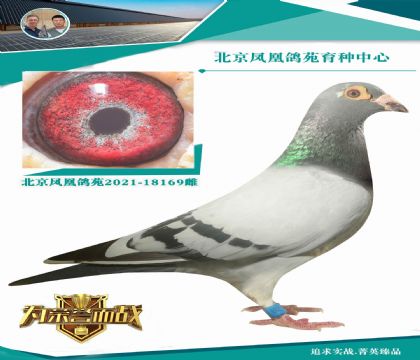 ǲˊWƥ006X(qin)ǲ9992X40000ֱO