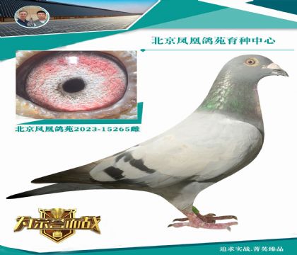 鱾vºRڡ(j)wȰ׸̖(ho)Ѫϵ