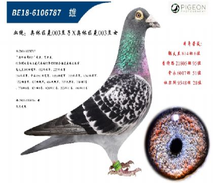 利奧賀爾曼斯原舍(003直子配直女)