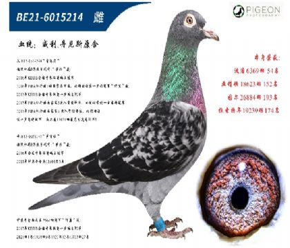 未命名