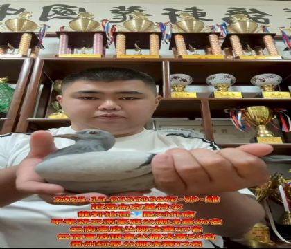 F(zhun)ǲ˻ؠ ƽ݅ϺͥQِ26