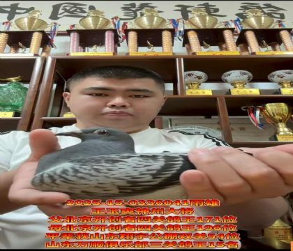 ˬݴ/_(ki)(chung)P(gun)171λX196λ