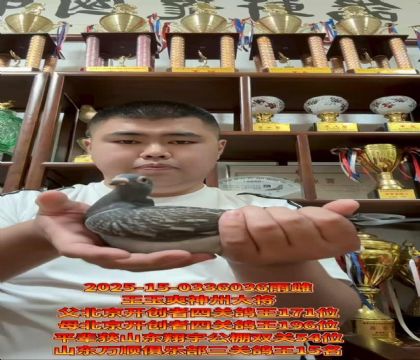 ˬݴ/_(ki)(chung)P(gun)171λX196λ