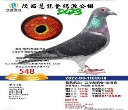 ԴQِ548S䌦ֱ