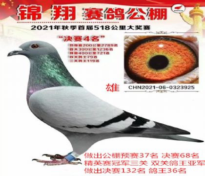 錦翔決賽4名 精英賽冠軍父親