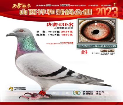 山西祥和決賽439名