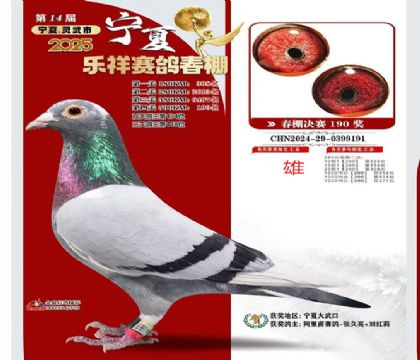 寧夏樂(lè)翔決賽190名