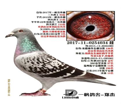 一帆鴿舍鄭杰做出桑杰士