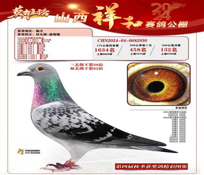 ֱӴ