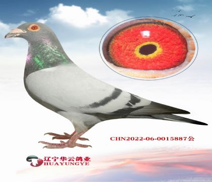 (ni)ҵĿ  FҡѪϵ