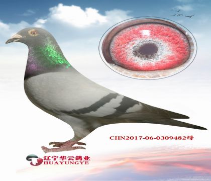 ϷN^Čؐ ձղɭ019
