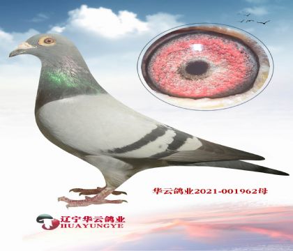 ϵ һA