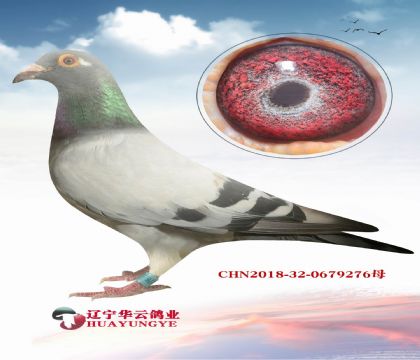ĵҾͳóɿ (zhn)ϷN ܸߵ䌦