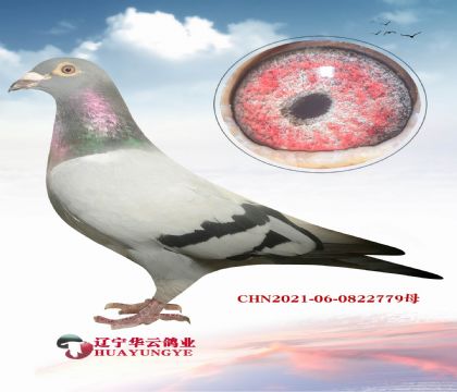 ֲz֮XֲE䌦 ֱŮ