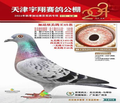 天津宇翔賽鴿公棚加站賽雙關(guān)綜合45名 雄