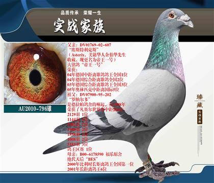 余柏華“帝王一號(hào)”直子