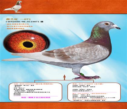 <mt>(chung)Լļtϵ