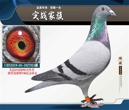 僅開爾團(tuán)體冠軍、亞軍拿倆了 回春陽作育