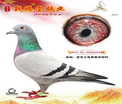ہղɭʷطN