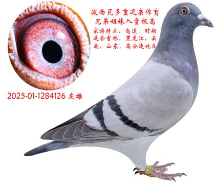 126