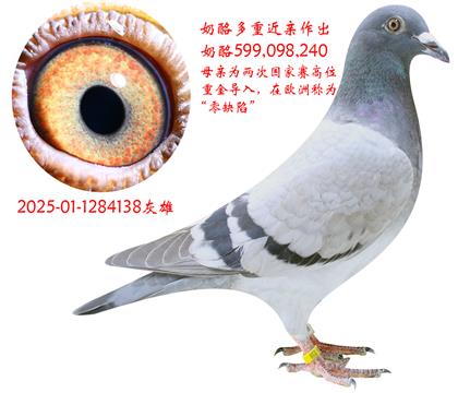 ҽH138
