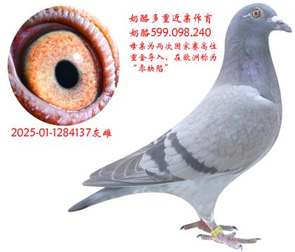 ҽH137