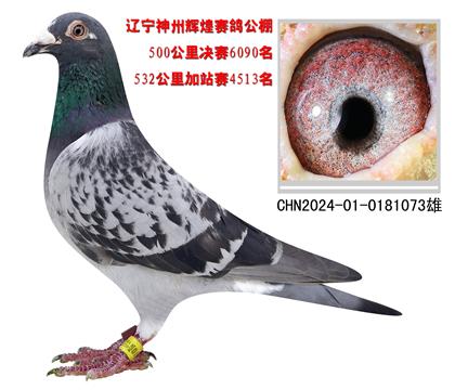 |xِͅ073