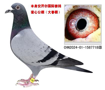 _ِ718