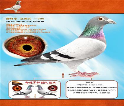 <御林軍>總教頭