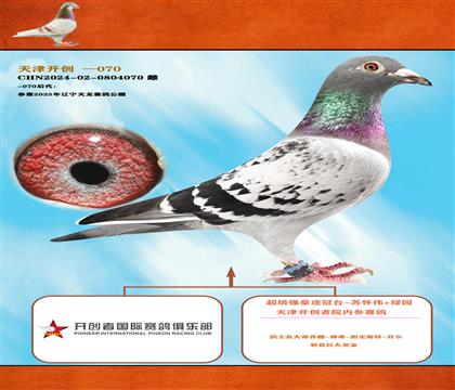 <逐冠臺-蘇懷偉>25年天津開創(chuàng)