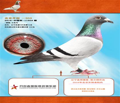 <北京開創(chuàng)者>穆勒-小灰號